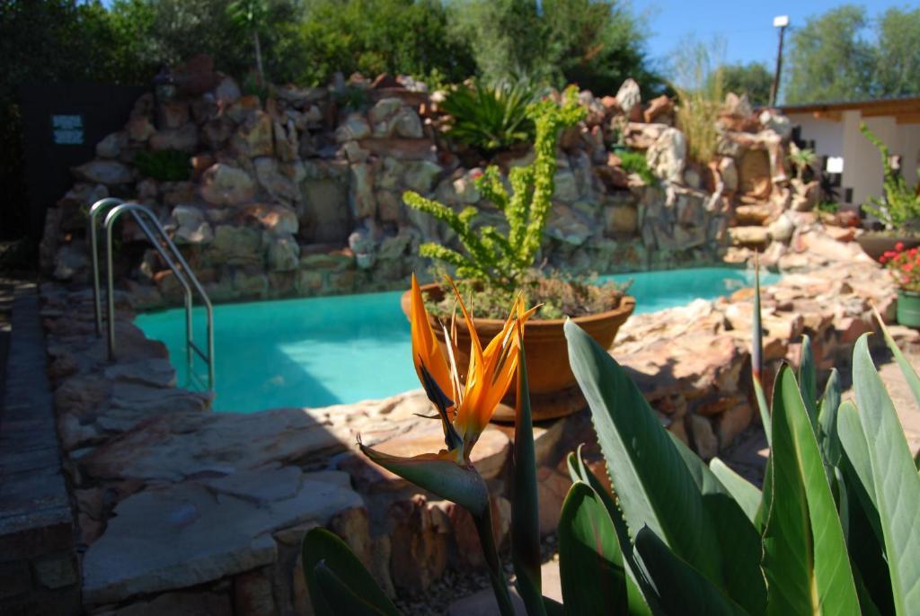Beit Shalom Before Known As Best Little Guesthouse Oudtshoorn Eksteriør bilde
